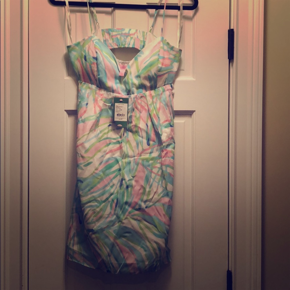 NWT Lilly Pulitzer Dorothy Dress sz 6 - Picture 3 of 6